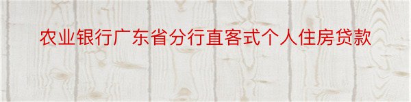 农业银行广东省分行直客式个人住房贷款