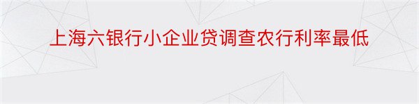 上海六银行小企业贷调查农行利率最低