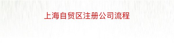 上海自贸区注册公司流程