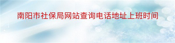 南阳市社保局网站查询电话地址上班时间