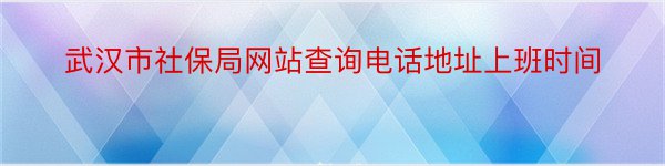 武汉市社保局网站查询电话地址上班时间