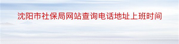 沈阳市社保局网站查询电话地址上班时间