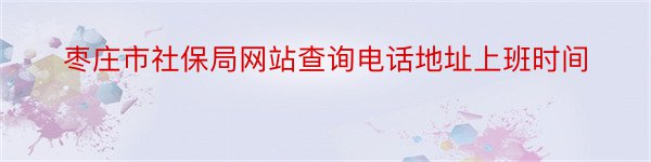 枣庄市社保局网站查询电话地址上班时间