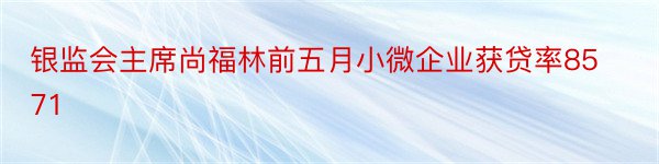 银监会主席尚福林前五月小微企业获贷率8571