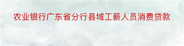 农业银行广东省分行县域工薪人员消费贷款